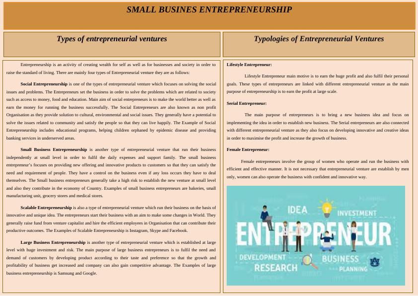 Types of Entrepreneurial Ventures and Their Impact on the Economy_1