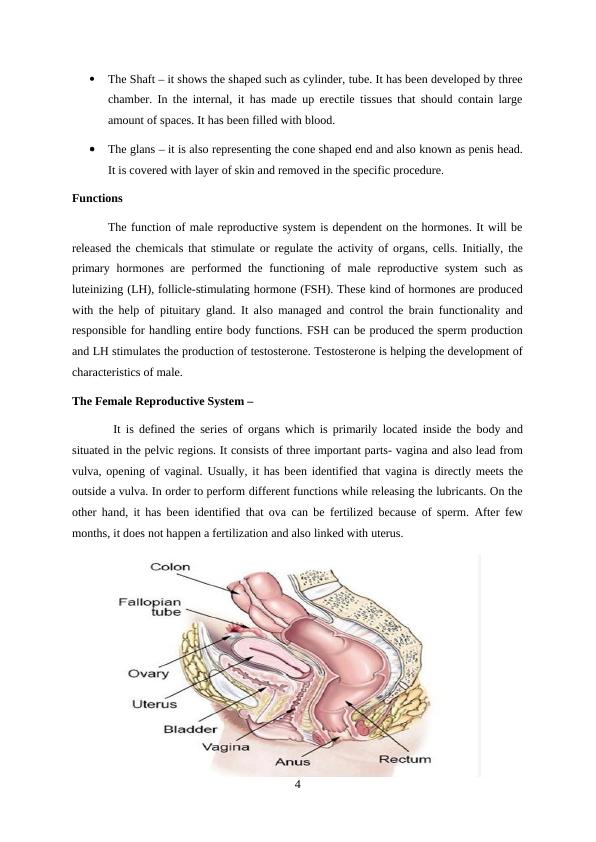 Hormonal Control of Reproduction: Anatomy, Gamete Development, and ...