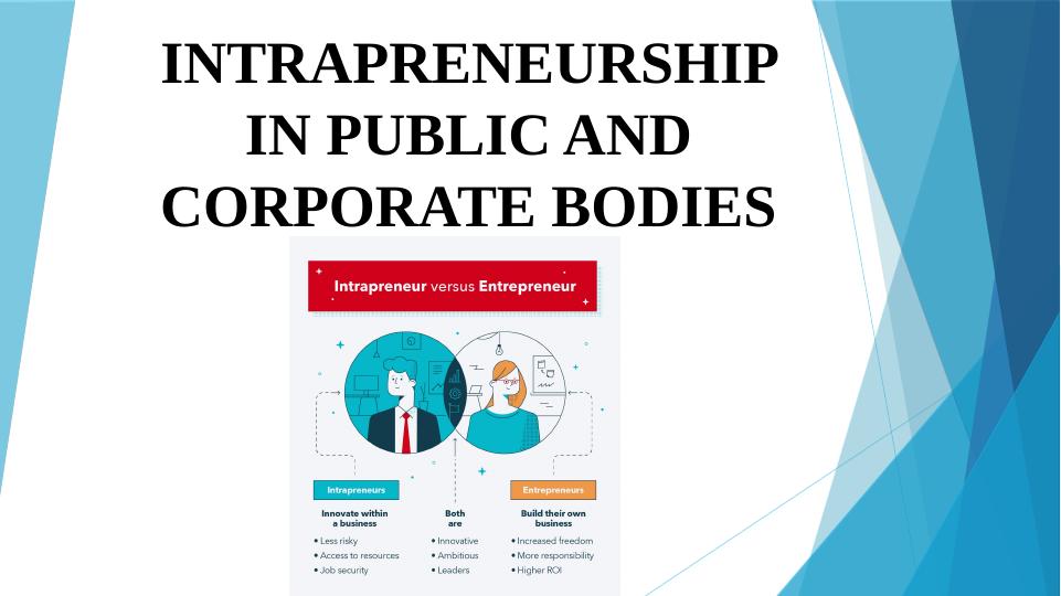 Benefits And Differences Of Intrapreneurship In Public And Corporate Bodies