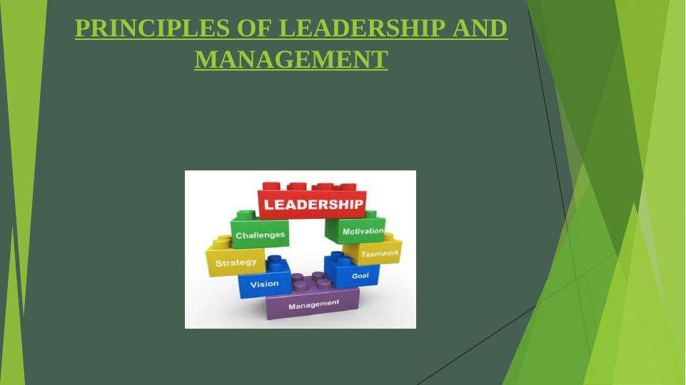 Principles of Leadership and Management in Health and Social Care Sector_1