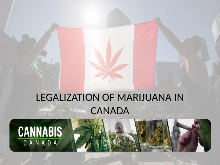 Legalization of Marijuana in Canada Facts and Opinions