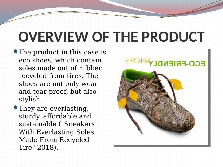 Marketing Plan for Eco Shoes: Targeting Millennials with Sustainable ...