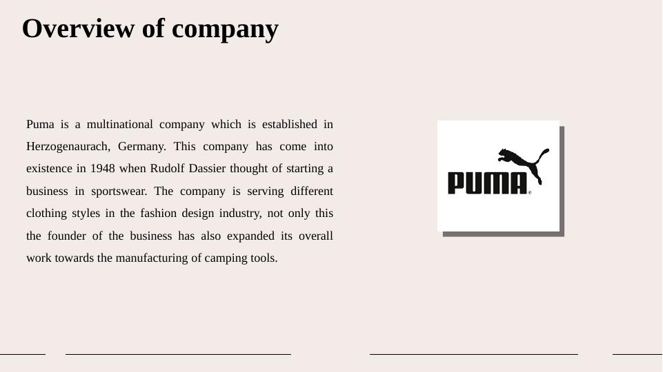 Business and the Business Environment - Analysis of Puma_4