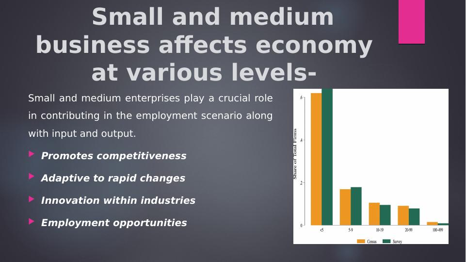 Role of Small and Medium Enterprises in Economic Development_4