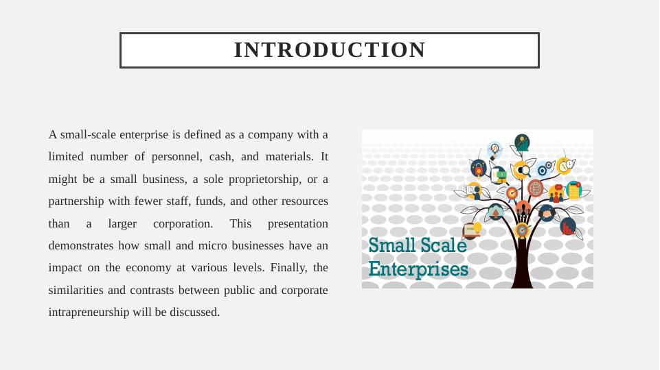Entrepreneurial Ventures: Impact of Small and Micro Businesses on Economy_3