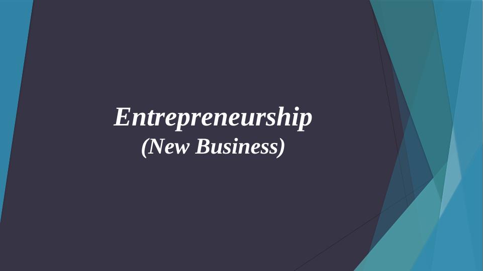 Entrepreneurship - New Business Assessment_1
