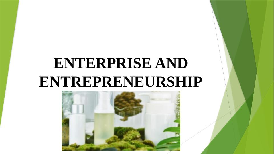 Entrepreneurship and Organic Cosmetics: Feasibility Study and Market Opportunities_1