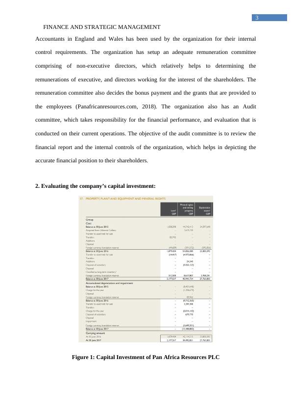 Finance and Strategic Management: Analysis of Pan Africa Resources PLC_4