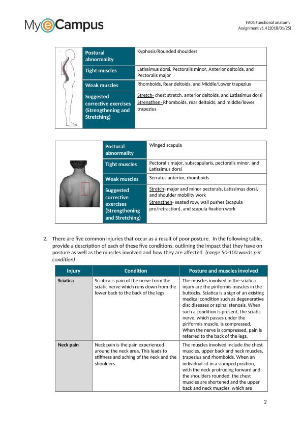 Functional Anatomy Assignment: Posture, Injuries, Joint Complexes, Muscles, and Agility_2