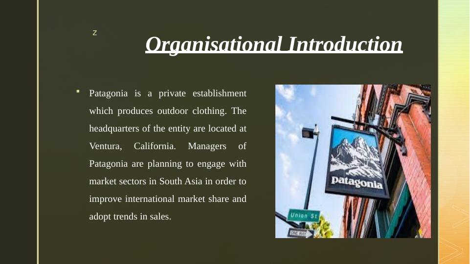 Global Economy Business Plan for Patagonia | Desklib_3