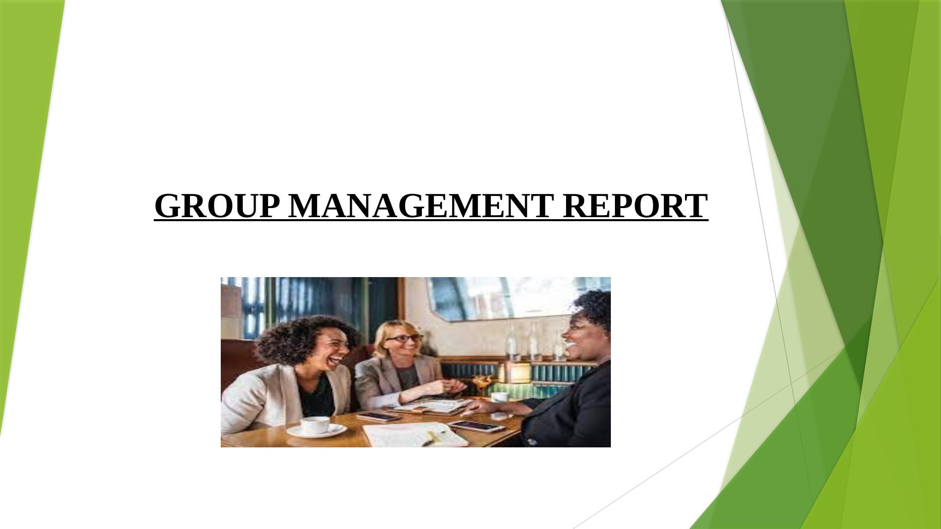 Group Management Report For The Farmer's Dog: Marketing Mix, Customer ...