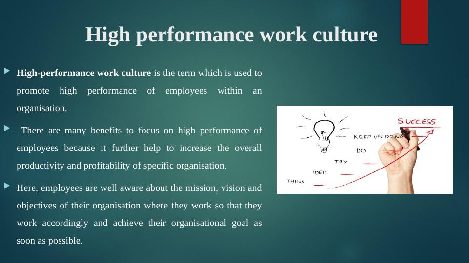 High Performance Work Culture: Management Development Programme, Coaching and Mentoring_3