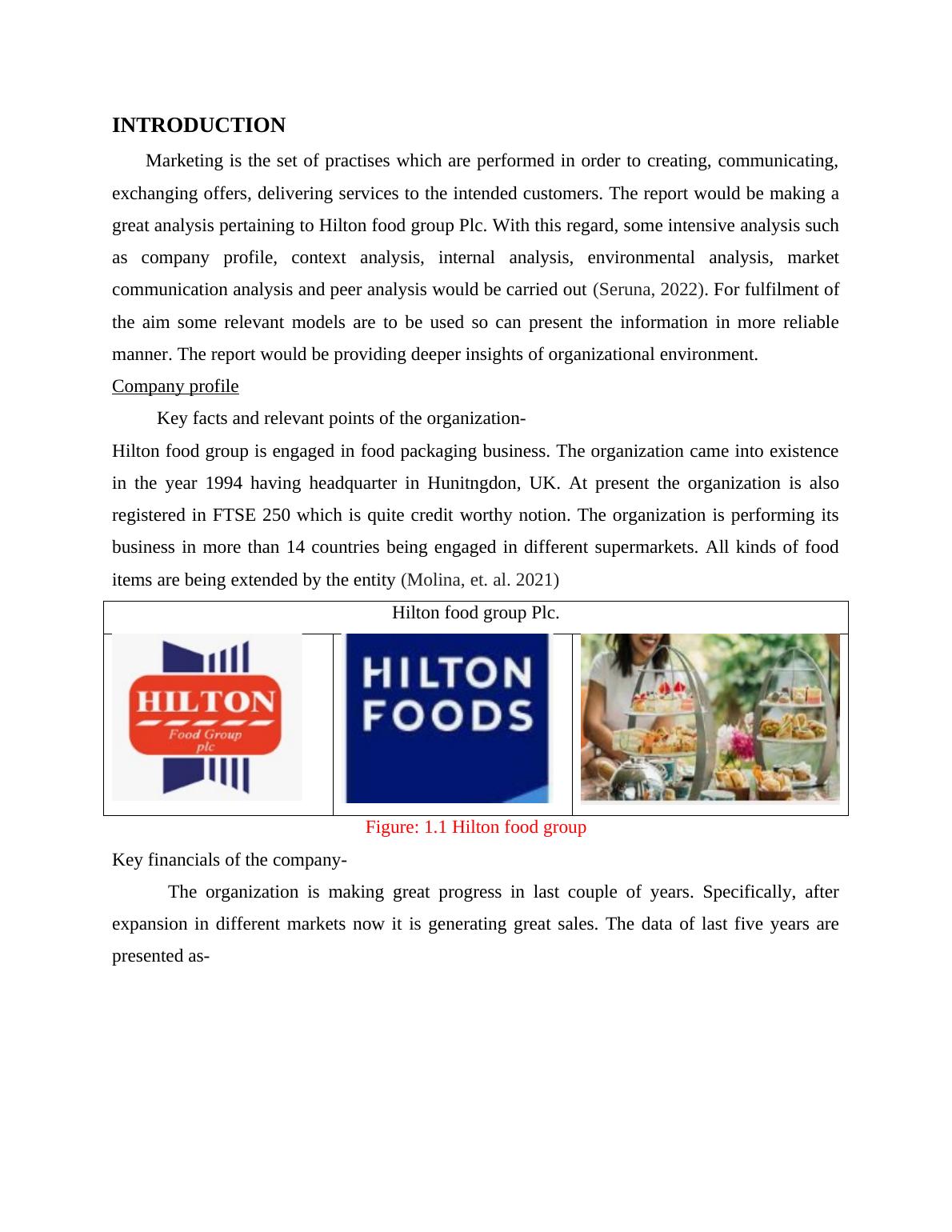 Marketing and Data Analytics of Hilton Food Group Plc