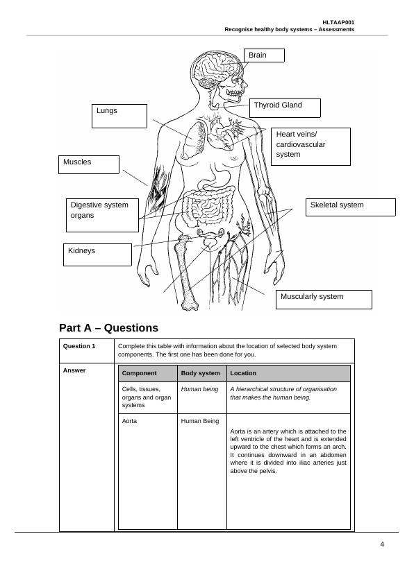 HLTAAP001 Recognise Healthy Body Systems - Assessments_4