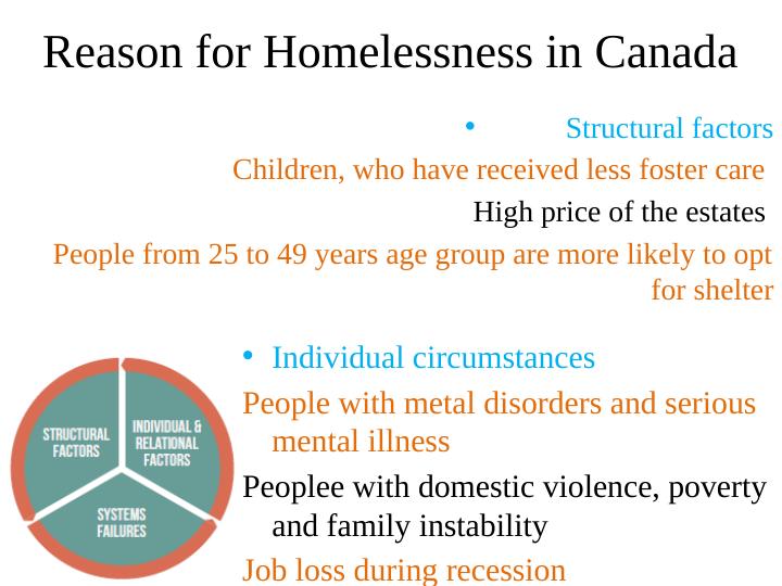 Homelessness in Canada: Causes, Effects and Solutions_3