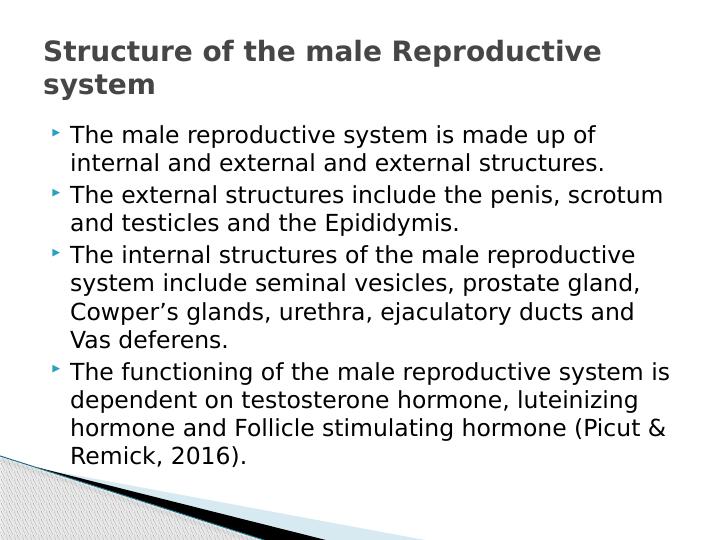 Human Reproduction Male and Female Reproductive Systems