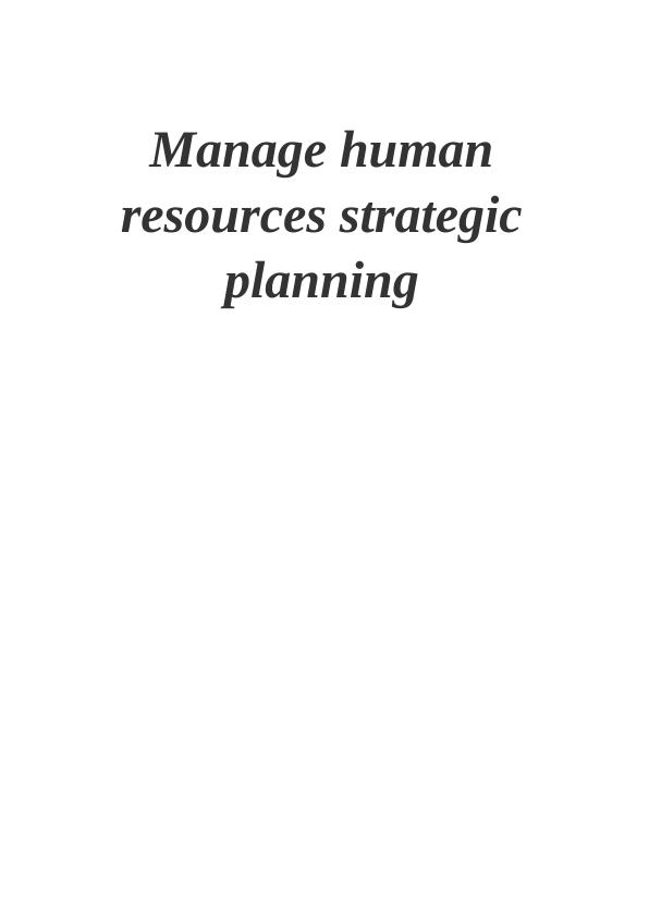 Human Resources Strategic Plan For Desklib