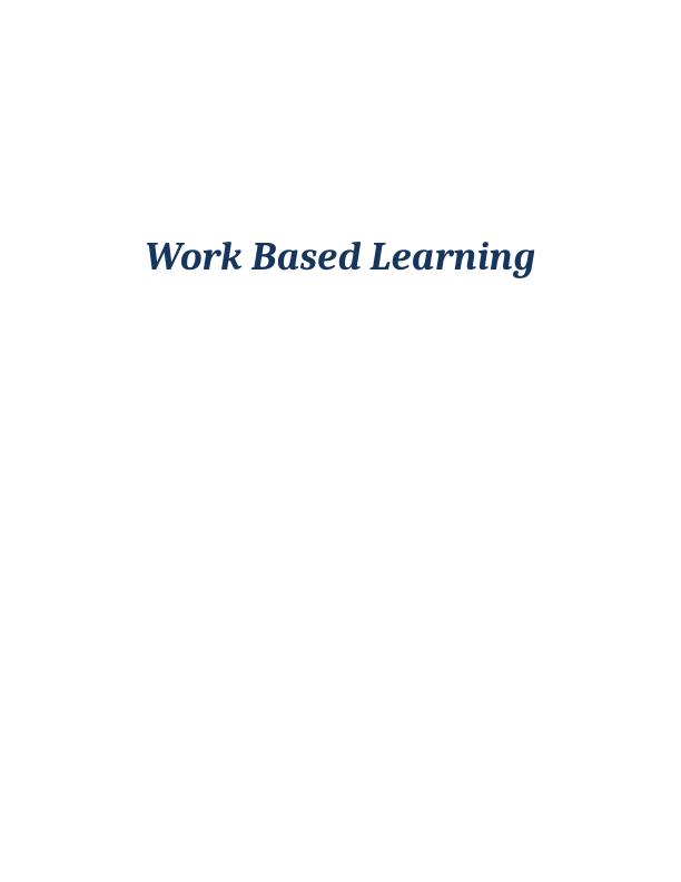 Report on Work Based Experience_1