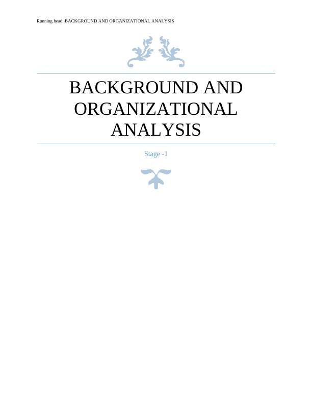Background and Organizational Analysis_1