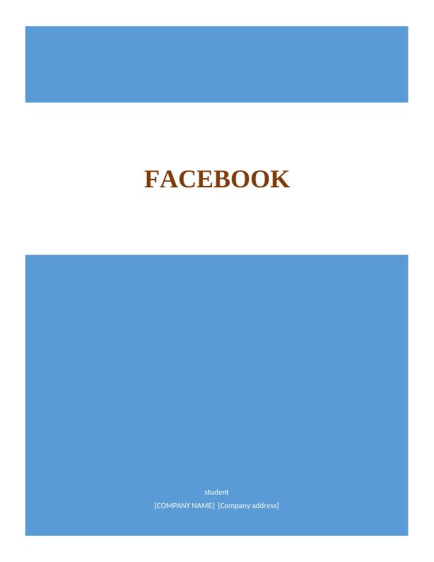 Facebook as a For-profit Organization_1