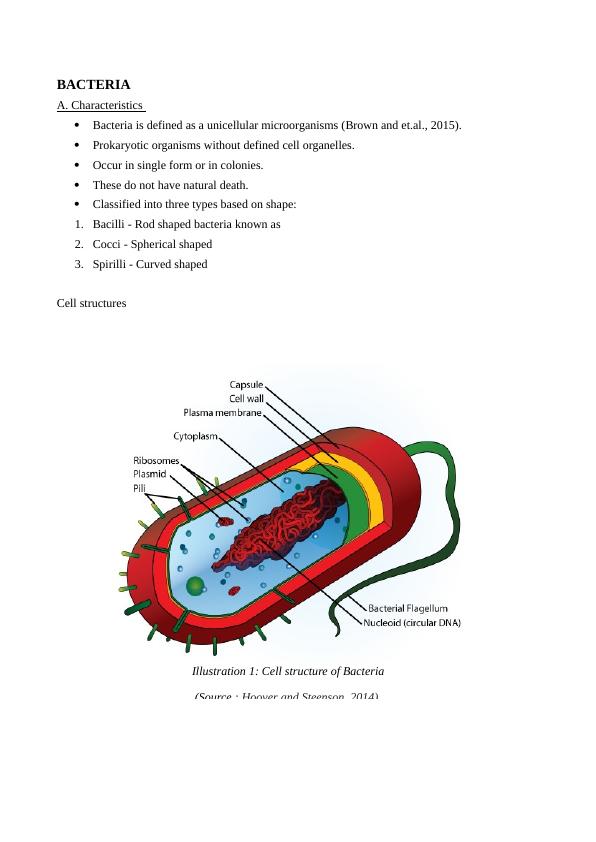 Report on Bacteria Disease and Disorders_1
