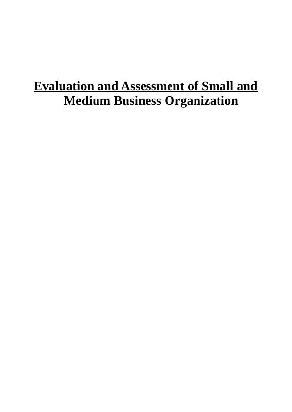 Small and Medium Business Organization : Assignment_1