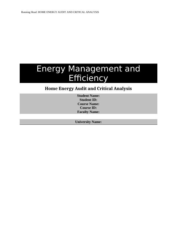 Home Energy Audit and Critical Analysis Report_1