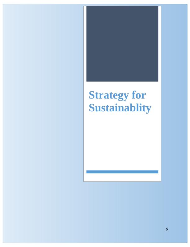 Assignment Strategy for Sustainability - HSBC_1