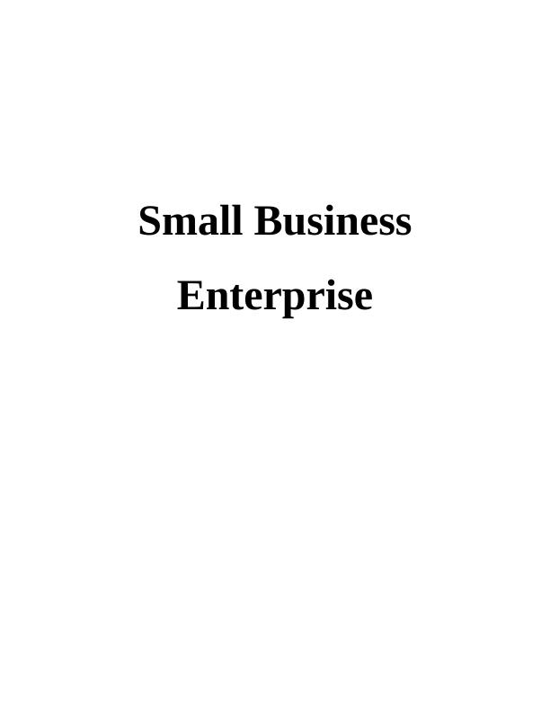 Analysis of Small Business Enterprise Using Comparative Measures_1
