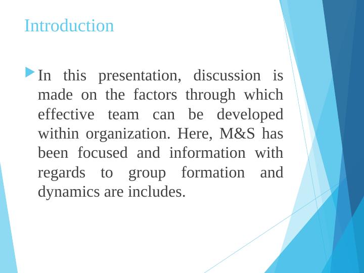 Factors Promoting Effective Team Work in M&S_2