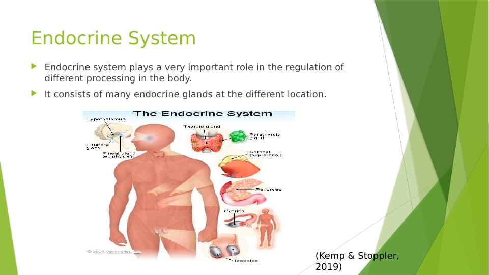 Pharmacology and Pathophysiology Endocrine System and disease