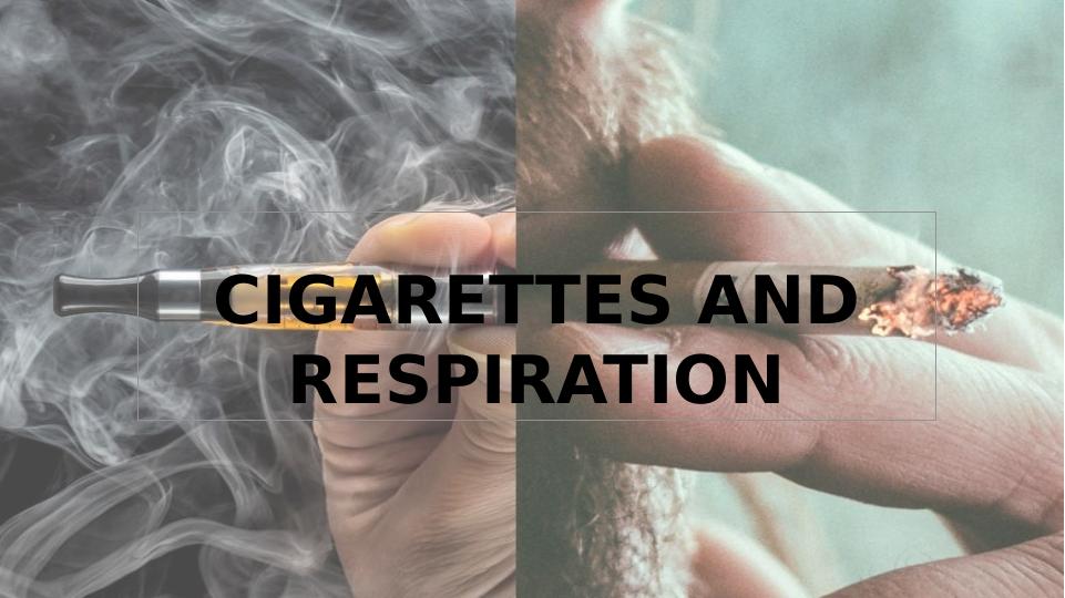 ANATOMY OF RESPIRATION - HUMAN RESPIRATORY SYSTEM