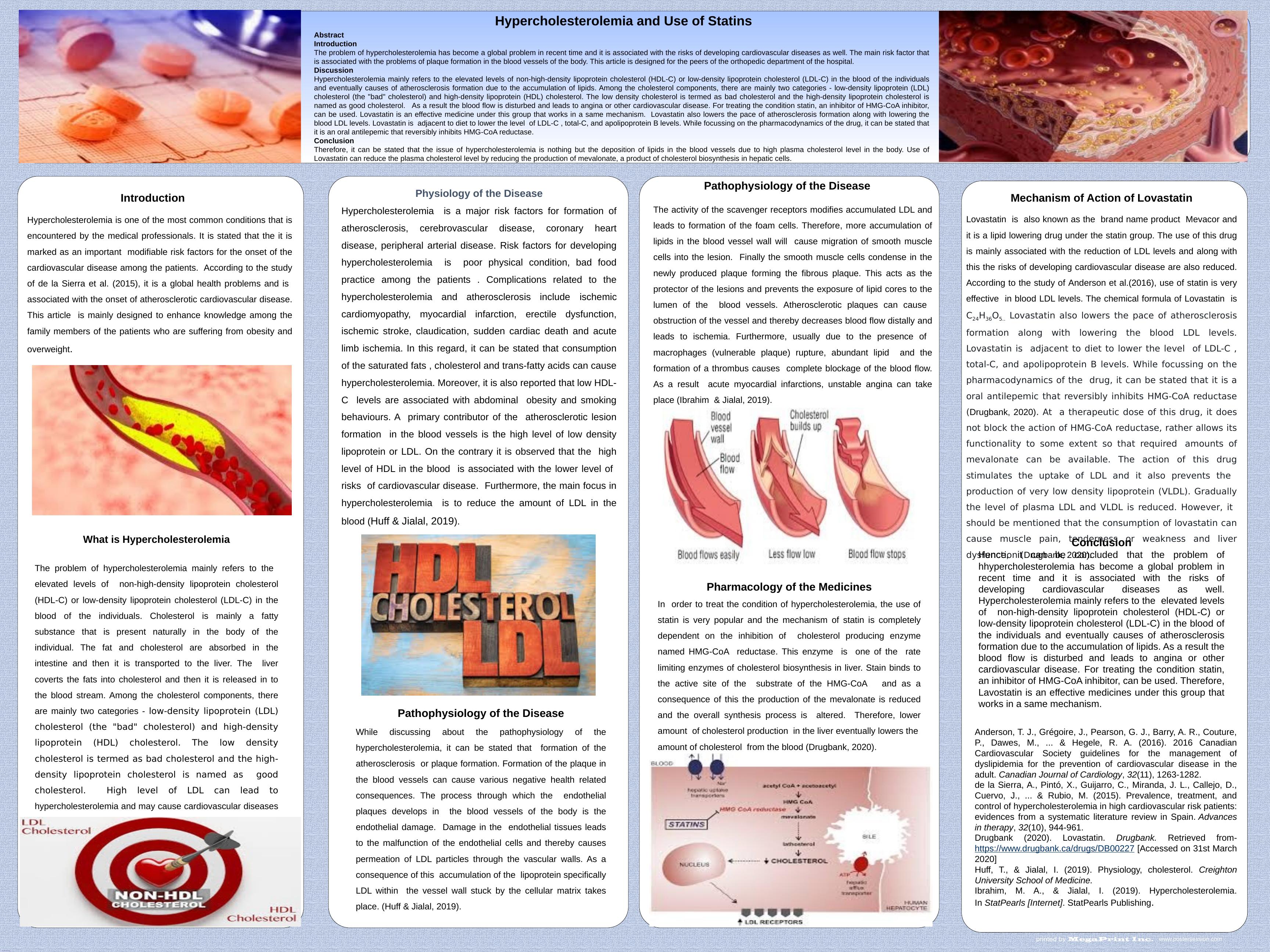 Hypercholesterolemia and Use of Statins_1