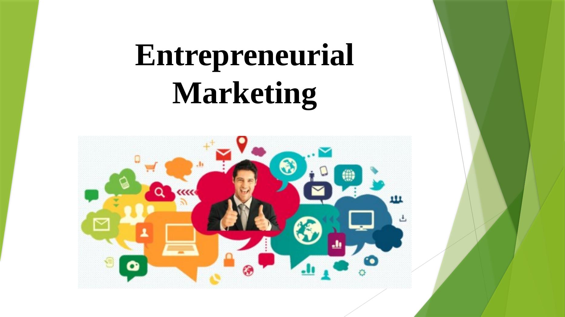 Entrepreneurial Marketing: Challenges and Strategies_1
