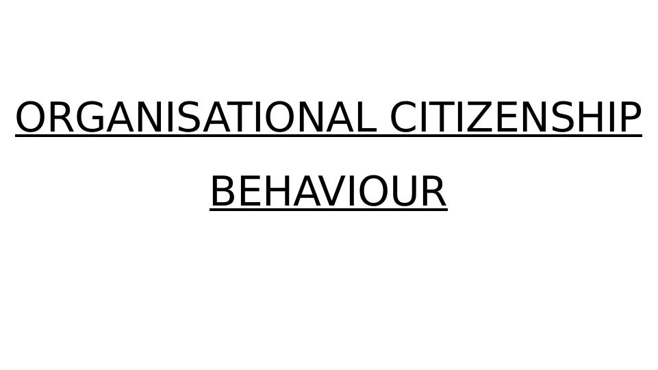Organisational Citizenship Behaviour_1