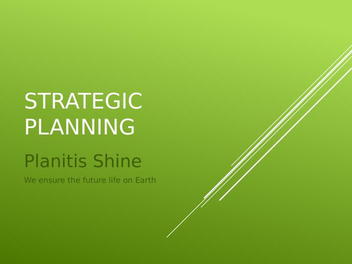 Strategic Planning for Planitis Shine: Car Wash Industry_1