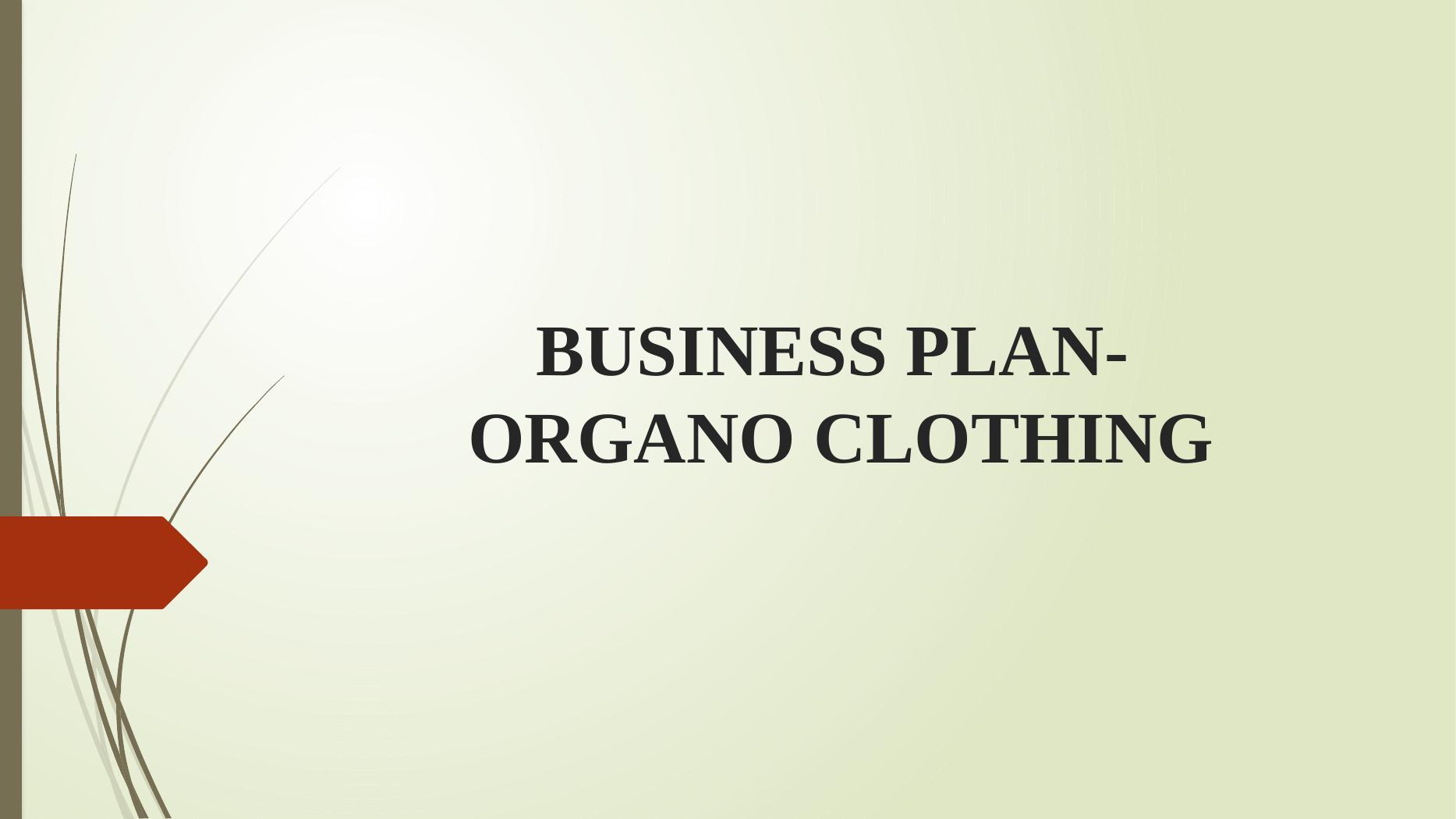 Business plan_1