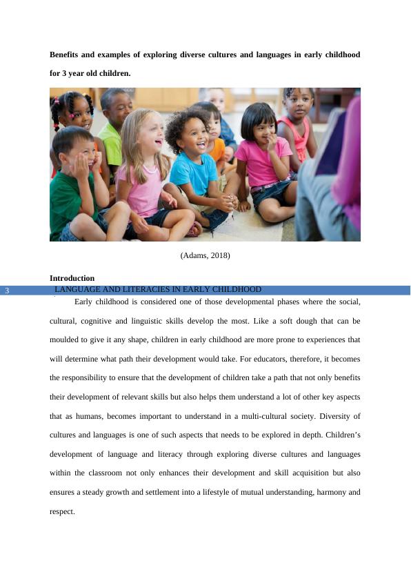 Benefits and Examples of Exploring Diverse Cultures and Languages in Early Childhood_4