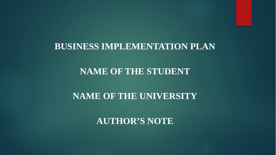 Business Implementation Plan_1