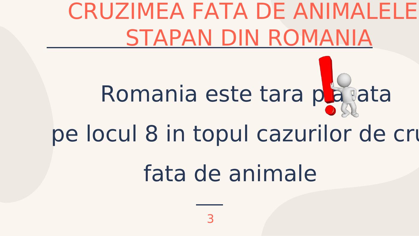 IMPORTANTA OCROTIRII ANIMALELOR FARA STAPAN._4