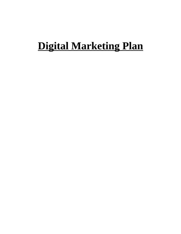Digital Marketing Plan Assignment Sample_1