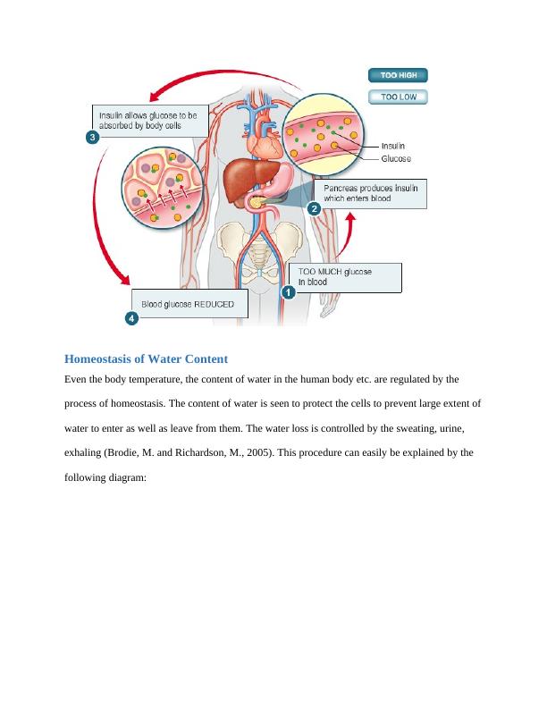 Homeostasis (article) | Human Body Systems_3