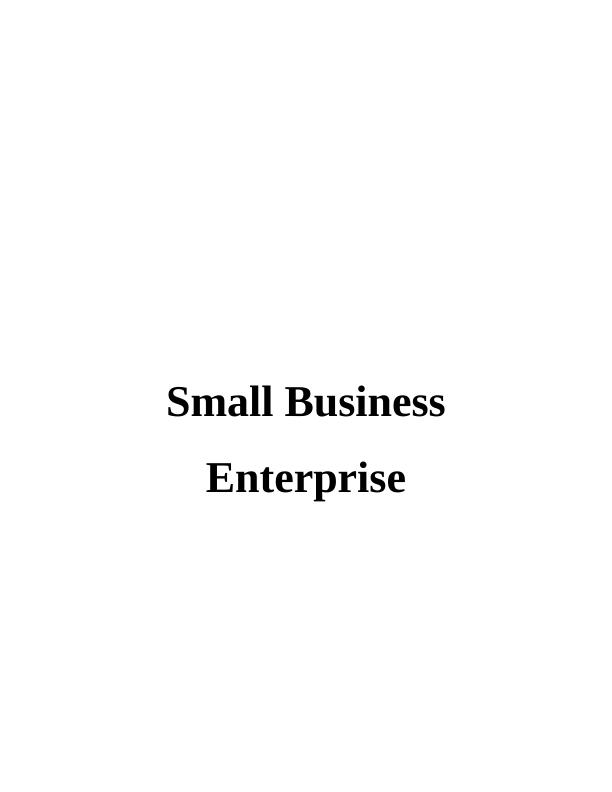 Small Business Enterprise: Profile, Financial Performance, and Expansion_1
