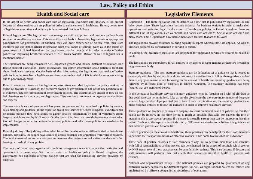 Role of Legislature, Executive, and Judiciary in Health and Social Care Policies_1