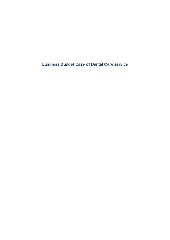 Business Budget Case - Doc_1