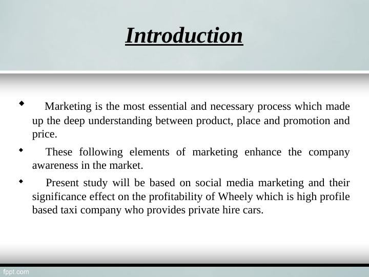 Significance of Social Media Marketing Strategies on the Profitability of Wheely_2