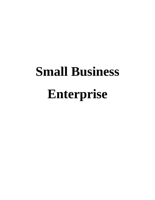 Small Business Enterprise Improvement Plan (SBE)_1