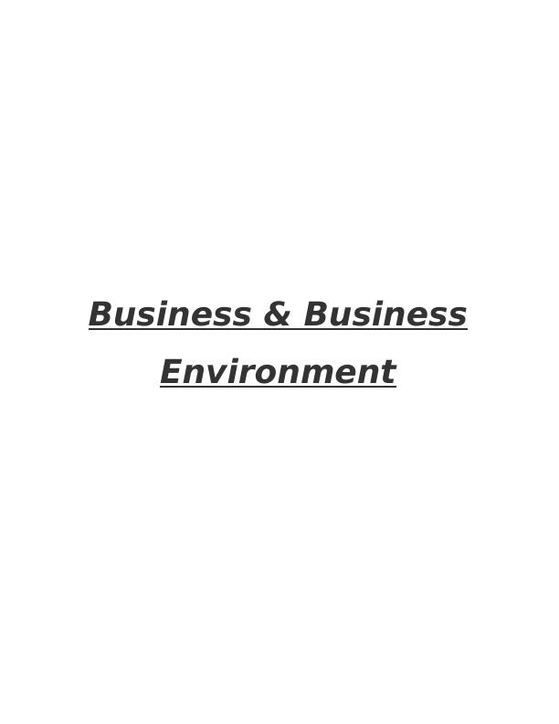 Business & Business Environment Assignment - (The UK Super market Sector)_1