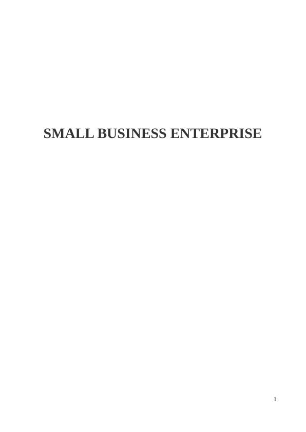 Small Business Enterprise: Profile, Financial Performance, Weaknesses, and Expansion Opportunities_1