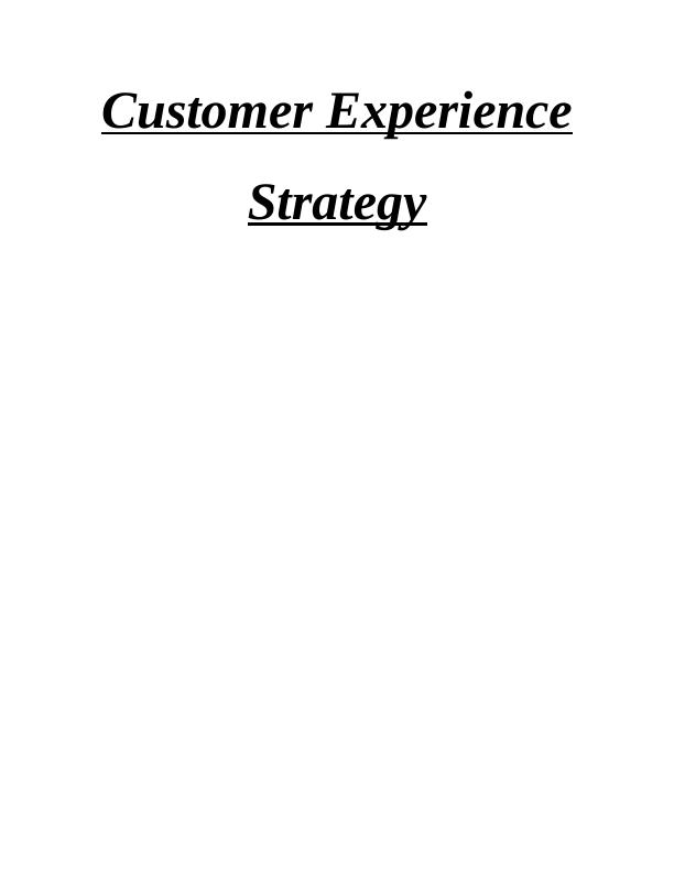 Customer Experience Strategy_2